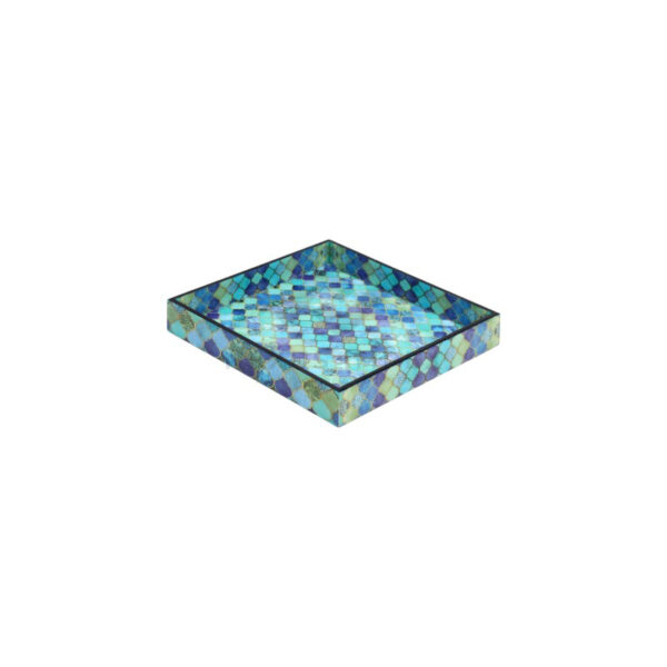 Tray